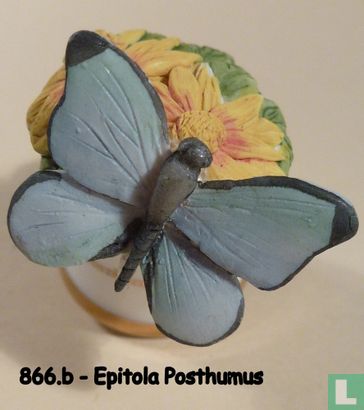 Epitola posthumus - Afbeelding 2