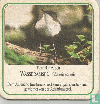 Tiere der Alpen - Wasseramsel - Afbeelding 1