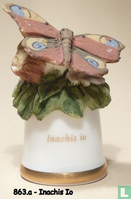 Vlinder - Inachis Io - Image 1