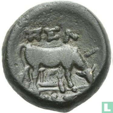 Koninkrijk Macedonië -Bronzen AE18 Pella  - 187 - 31 v. Chr. - Afbeelding 2