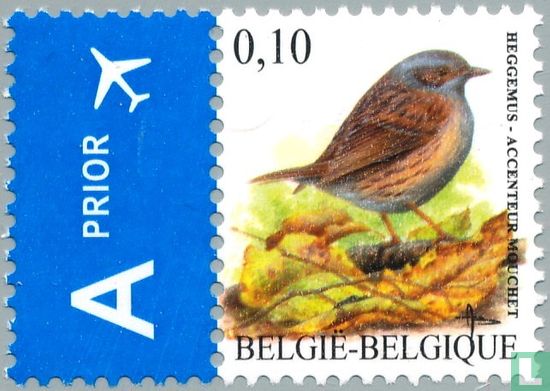 Hedge accentor - Image 1