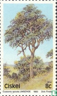 Native trees