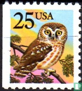 Tengmalm Owl