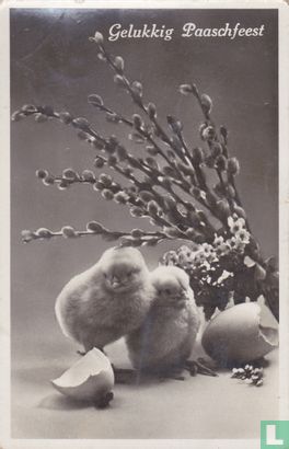 Gelukkig Paaschfeest: Kuikens, eierschalen en wilgenkatjes - Afbeelding 1