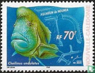 Aquarium van Nouméa
