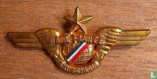 Air France futur pilote - Afbeelding 1