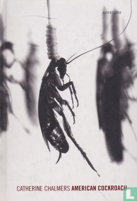American Cockroach - Afbeelding 1