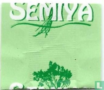 Green Tea - Image 3