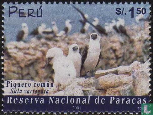Paracas Nationaal Reservaat