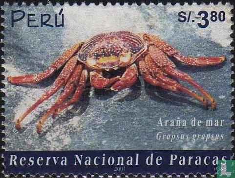 Paracas National Reserve