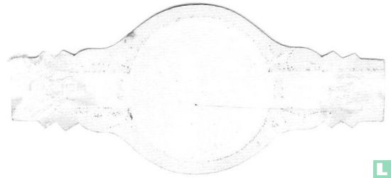 Ponderosa-Mol - Image 2