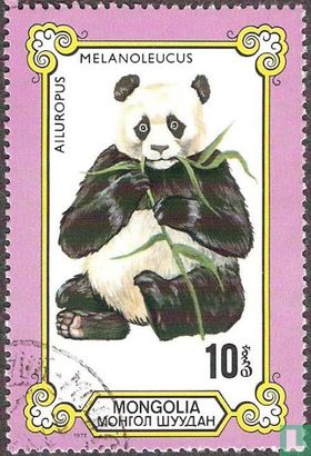 Großer panda 