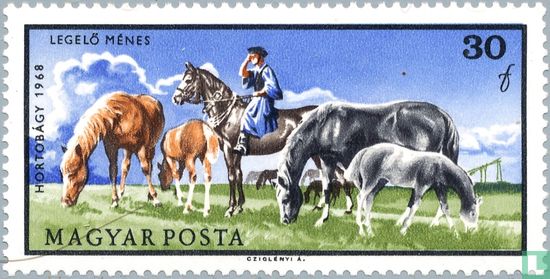 Horse-breeding in the Puszta
