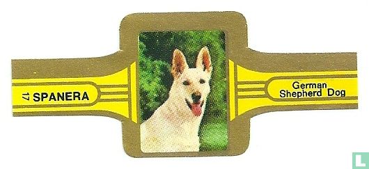 German Shepherd dog - Afbeelding 1