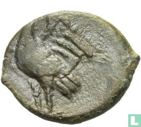 Sizilien, Syrakus AE Hiketas II 287-278 v. Chr.. - Bild 2