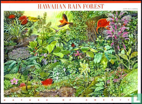 Bois des pluies de Hawaii - Image 1