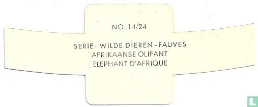 Afrikanischer Elefant - Bild 2