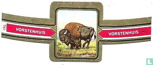 Bison - Afbeelding 1