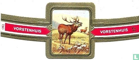 Red Deer - Image 1