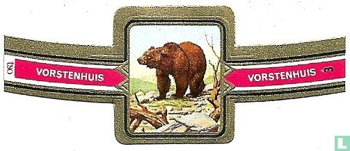 Brown bear - Image 1