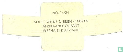 Afrikaanse olifant - Afbeelding 2