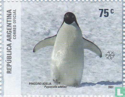Argentina in Antarctica