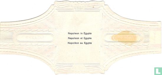 Napoleon in Egypte - Afbeelding 2