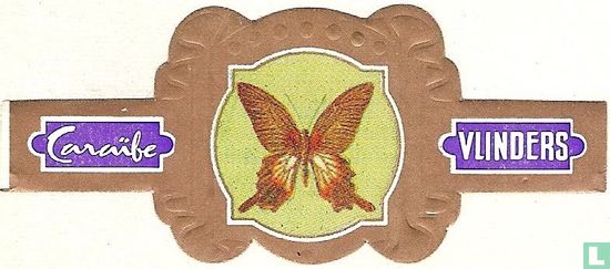 Papilio Mennon - Java - Image 1
