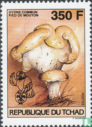 fungi   