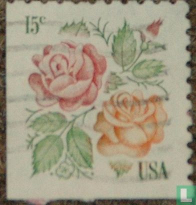 Roses  - Image 1