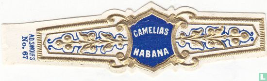 Camelias Habana - Afbeelding 1