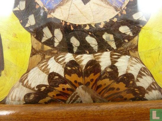 Dienblad met mozaïek van vlindervleugels - Afbeelding 3