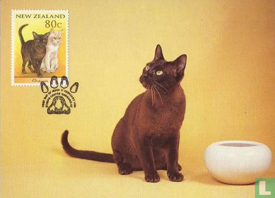 Les chats