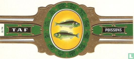 [Vissen] - Afbeelding 1