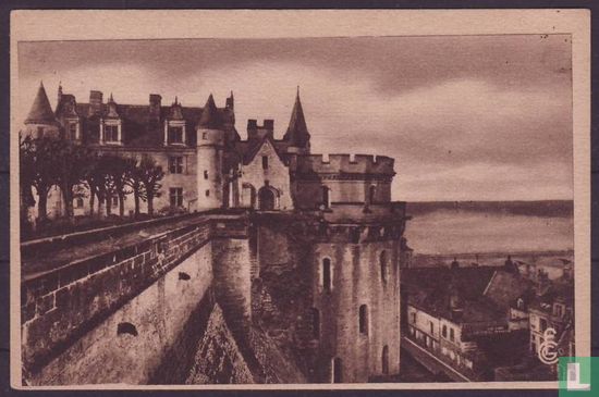 Amboise, Le Chateau (cote Est) et la Loire