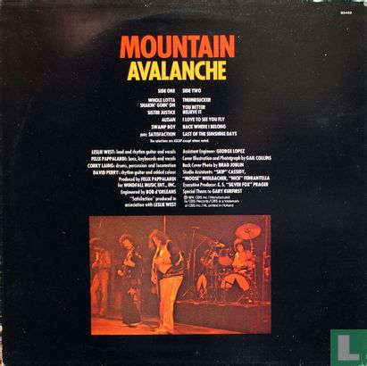Avalanche - Afbeelding 2