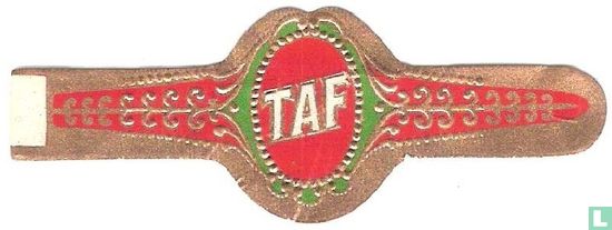 TAF  - Bild 1