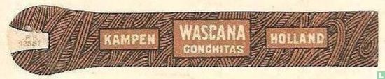 Wascana Conchitas - Kampen - Holland