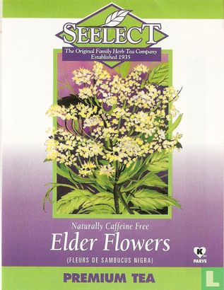 Elder Flowers - Image 1