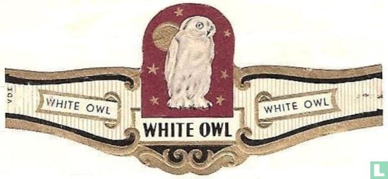 White Owl - White Owl - White Owl - Image 1