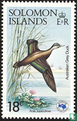 Ausipex Oiseaux 