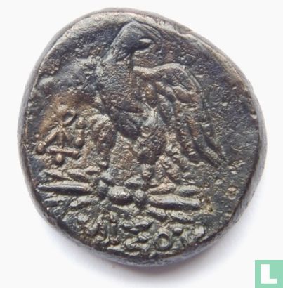 Pontos - Amisos  AE19  85 BCE - Image 2