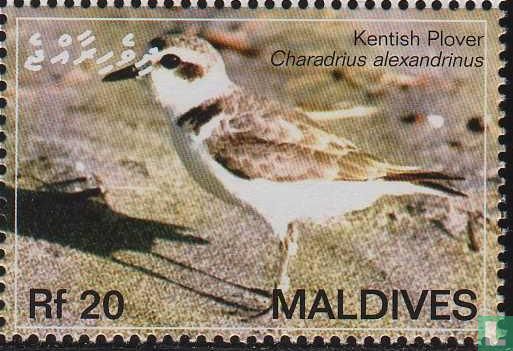 Trekvogels van de Malediven