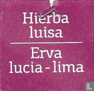 Hierba luisa - Image 3