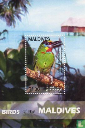 Zugvögel der Malediven