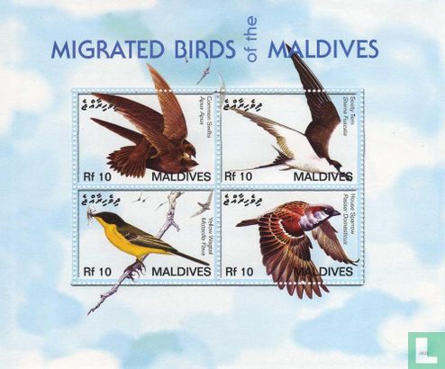 Zugvögel der Malediven