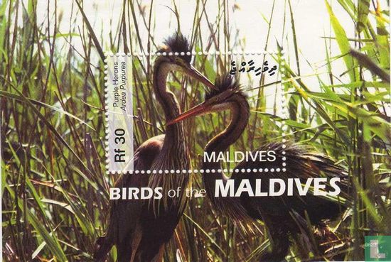 Trekvogels van de Malediven