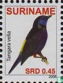 Opal-rumped tanager