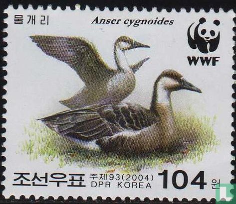 WWF - Schwanengans