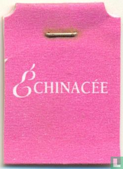 Echinacea - Image 3